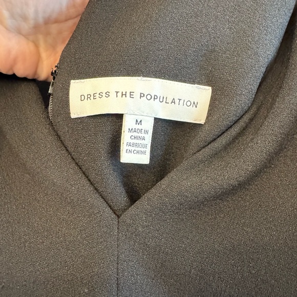 Dress the Population Cocktail Dress - Picture 5 of 5